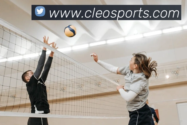 体育下注平台生态图